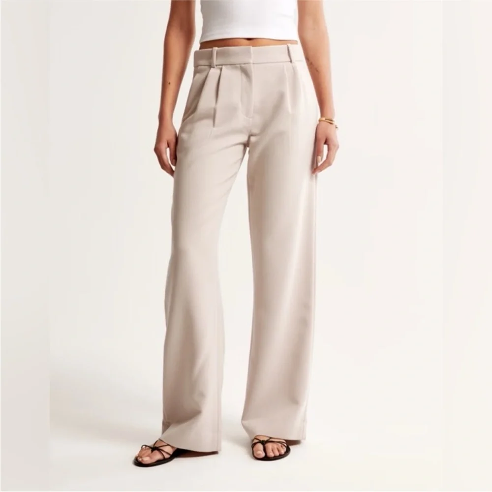 Abercrombie & Fitch Sloane Tailored Wide Leg Pant NWT Taupe Sz 26/2 - Picture 4 of 16